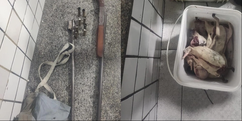 Espingarda e animais abatidos apreendidos em posse de um caçador em Alto Longá