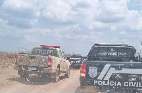 Operação da Polícia Civil no Sul do Piauí